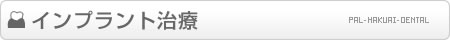�C���v�����g����